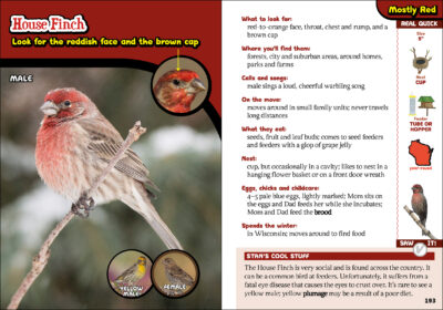 The Kids' Guide to Birds of Wisconsin - Image 4