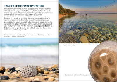 Petoskey Stone - Image 2