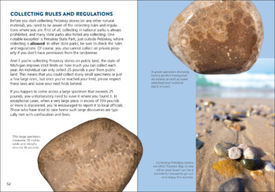 Petoskey Stone - Image 3