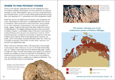 Petoskey Stone - Image 4