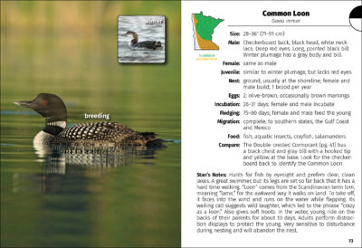 Birds of Minnesota Field Guide - Image 2