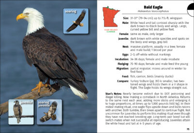 Birds of Minnesota Field Guide - Image 3