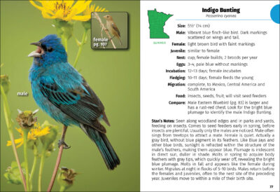 Birds of Minnesota Field Guide - Image 4