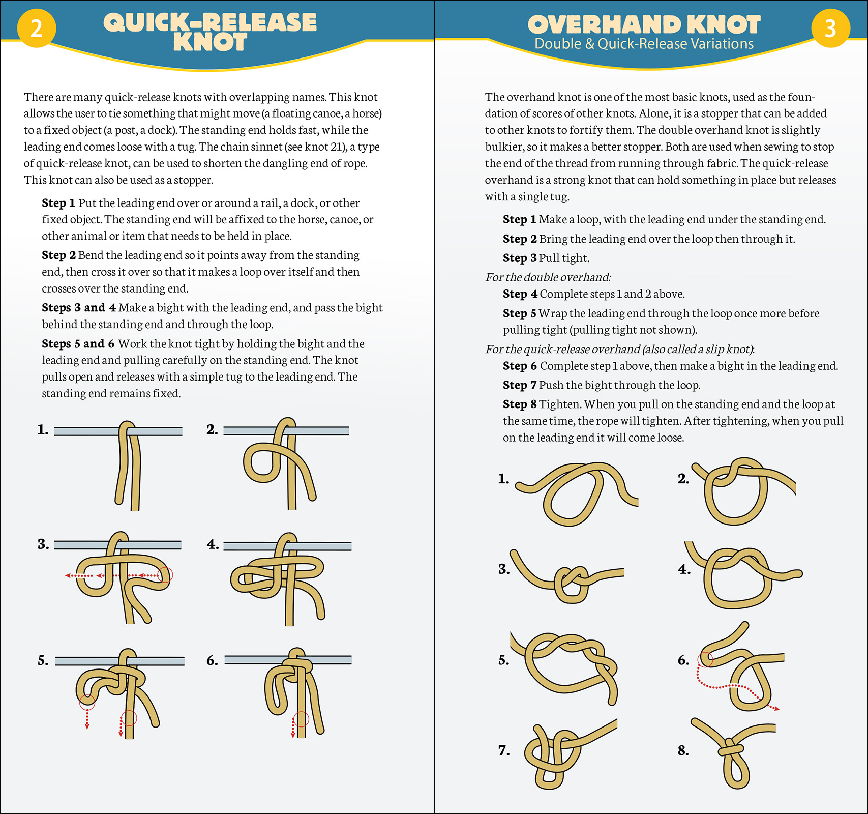 Essential Knots Kit - Reference - Adults - Hinkler