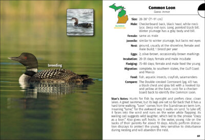 Birds of Michigan Field Guide - Image 2
