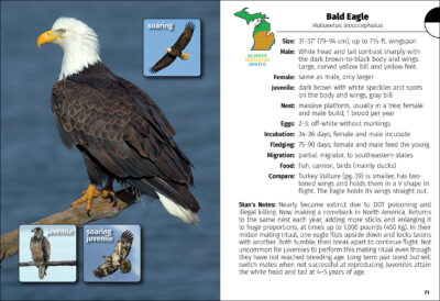 Birds of Michigan Field Guide - Image 3