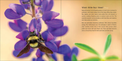 Our Love of Bees - Image 3