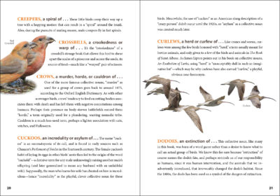 An Asylum of Loons - Image 3