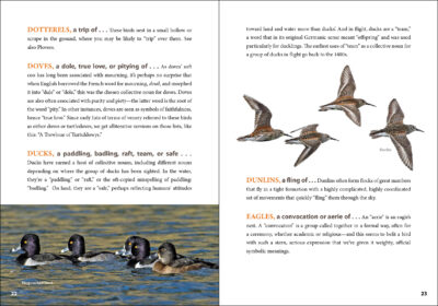 An Asylum of Loons - Image 4