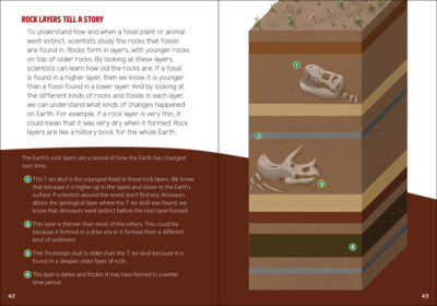 Fossils for Kids - Image 3