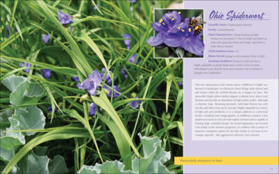 Native Plant Gardening for Birds, Bees & Butterflies: Upper Midwest - Image 3