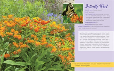 Native Plant Gardening for Birds, Bees & Butterflies: Upper Midwest - Image 4