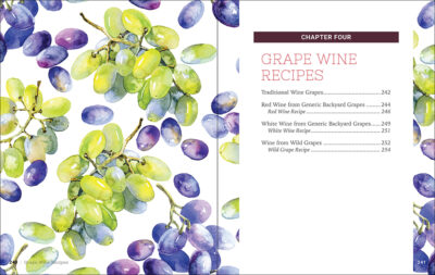 Home Winemaking - Image 2