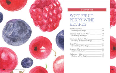 Home Winemaking - Image 3