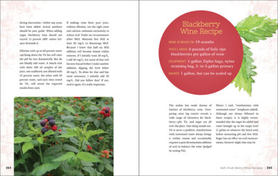 Home Winemaking - Image 4