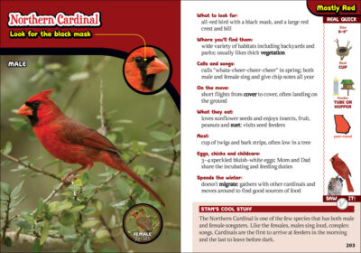 The Kids' Guide to Birds of Georgia - Image 2