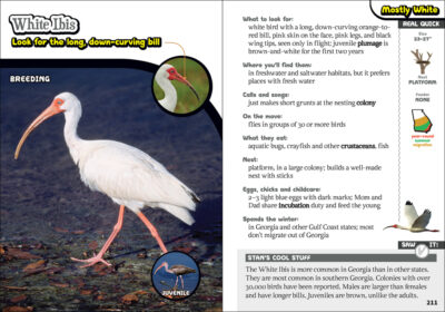 The Kids' Guide to Birds of Georgia - Image 3