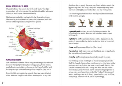 The Kids' Guide to Birds of Georgia - Image 5