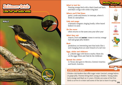 The Kids' Guide to Birds of Texas - Image 3