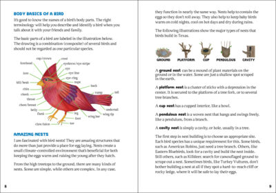 The Kids' Guide to Birds of Texas - Image 5