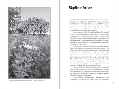 Bicycling the Blue Ridge - Image 2