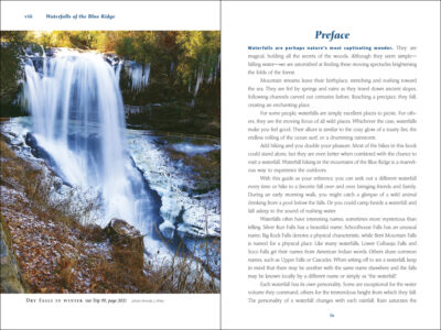 Waterfalls of the Blue Ridge - Image 4