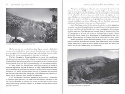 Nature of the Appalachian Trail - Image 4