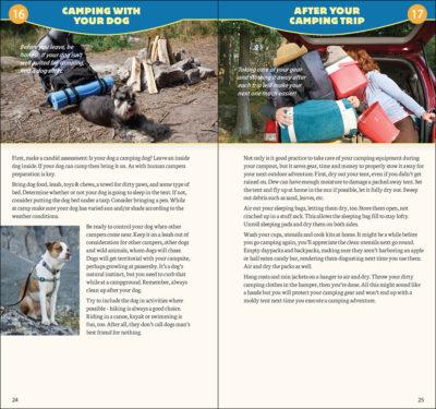 Camping Basics - Image 4