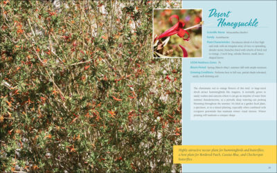 Native Plant Gardening for Birds, Bees & Butterflies: Southwest - Image 2