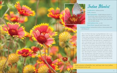Native Plant Gardening for Birds, Bees & Butterflies: Southwest - Image 4