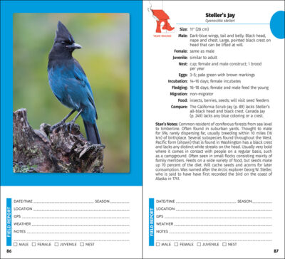 Pacific Northwest Birding Companion - Image 2