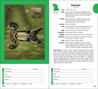 Pacific Northwest Birding Companion - Image 4