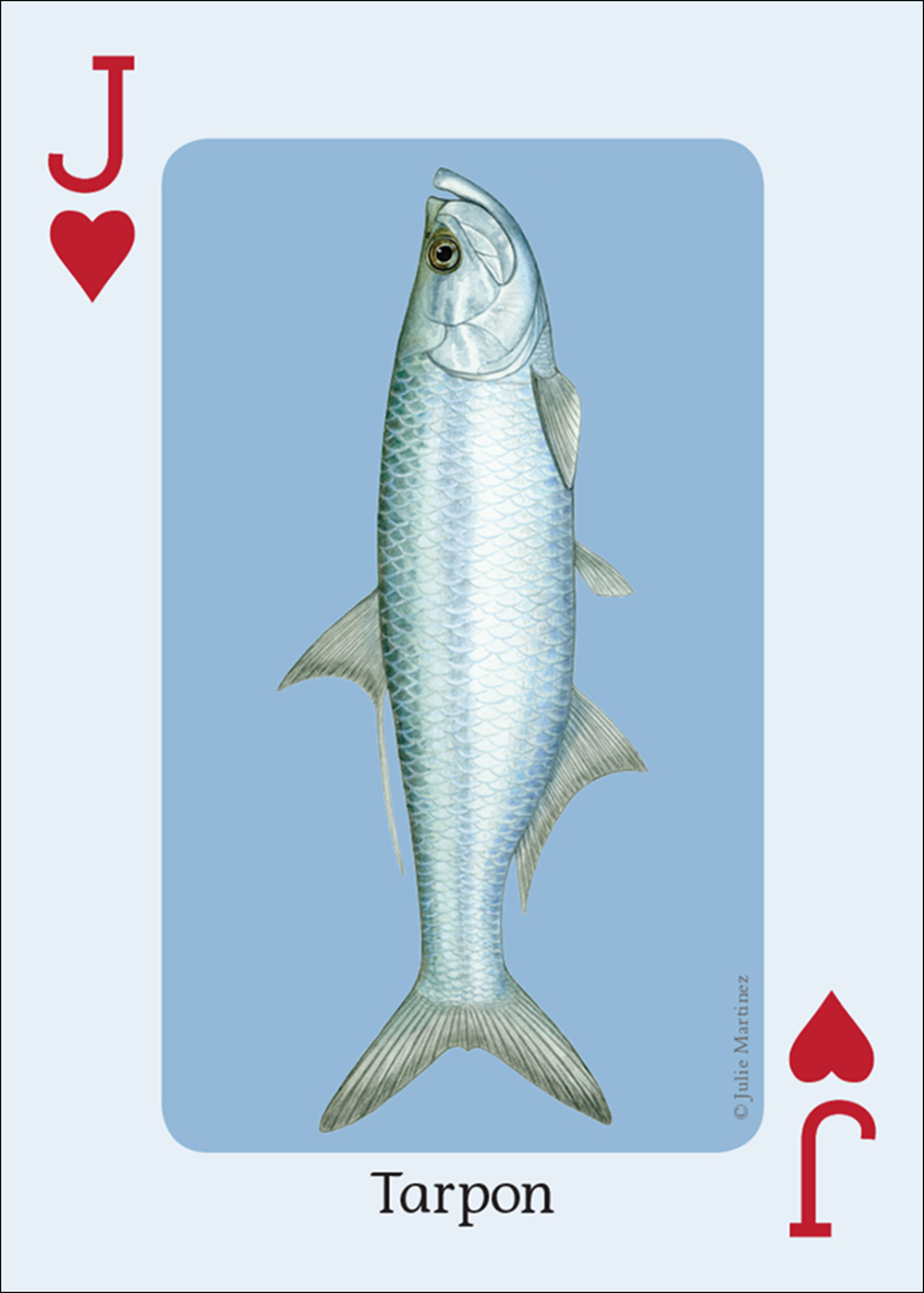 Saltwater Fish of the Gulf & Atlantic Playing Cards