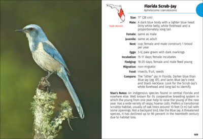 Birds of Florida Field Guide - Image 2