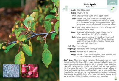 Trees of the Carolinas Field Guide - Image 2