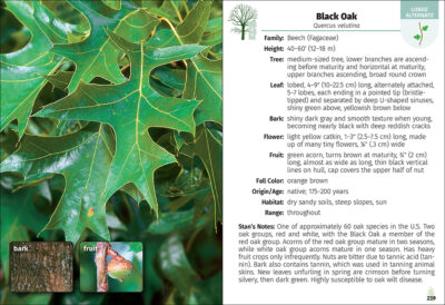 Trees of the Carolinas Field Guide - Image 3