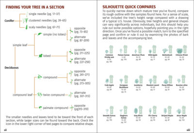 Trees of the Carolinas Field Guide - Image 4