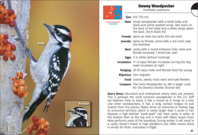 Birds of Colorado Field Guide - Image 2