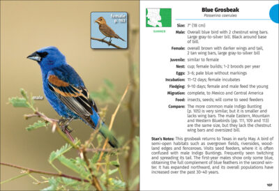 Birds of Colorado Field Guide - Image 4