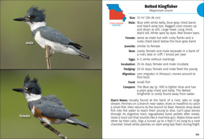 Birds of Missouri Field Guide - Image 4