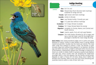 Birds of Pennsylvania Field Guide - Image 2
