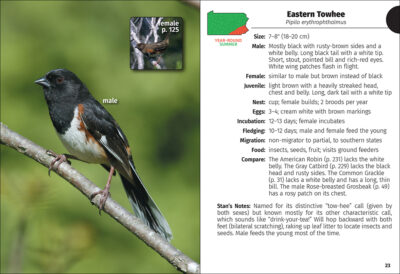 Birds of Pennsylvania Field Guide - Image 3
