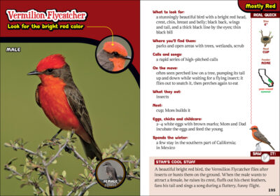 The Kids' Guide to Birds of California - Image 2