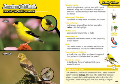The Kids' Guide to Birds of California - Image 3