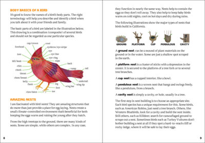 The Kids' Guide to Birds of California - Image 4