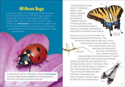 Insects & Bugs for Kids - Image 5