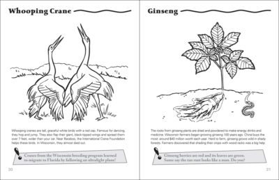 Wisconsin Activity Book - Image 5
