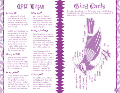 Bird Log Kids - Image 3