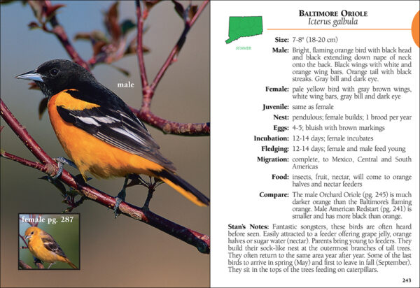 Birds of Connecticut Field Guide – AdventureKEEN Shop