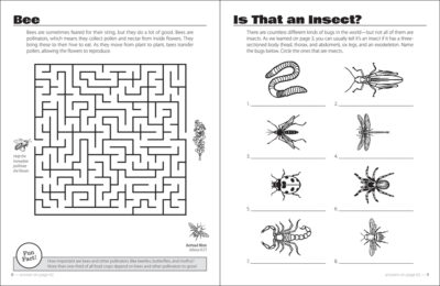 Beautiful Bugs Activity Book - Image 2